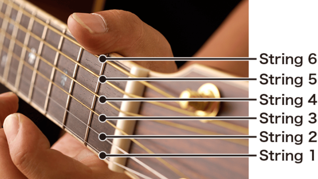 اسم سیم های گیتار